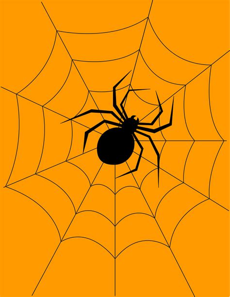 Download Halloween, Spider, Cobweb. Royalty-Free Vector Graphic - Pixabay