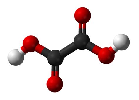 Oxalic Acid and Oxalates: Health Effects and Kidney Stones - YouMeMindBody