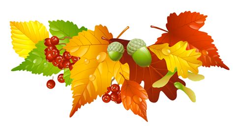 Foliage clipart fall decoration - Pencil and in color foliage clipart ...