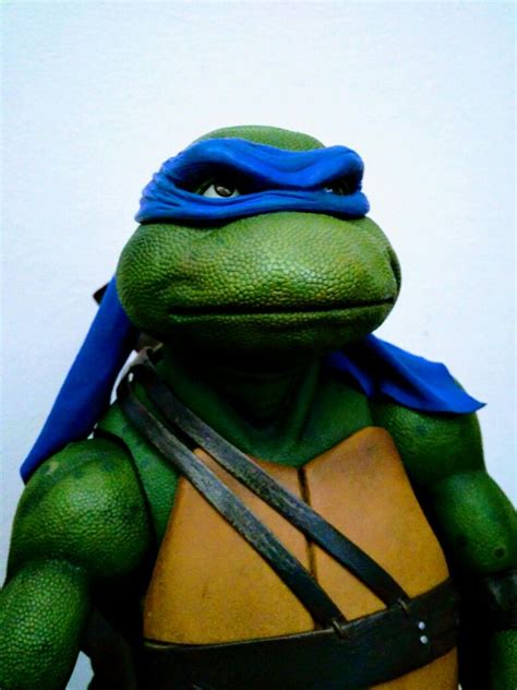 Who Will Lead The Rise Of The Teenage Mutant Ninja Turtles?