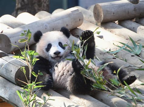 Best zoos and aquariums in Tokyo | Time Out Tokyo