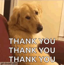 Cute Brown Dog Flipping Head Thank You So Much GIF | GIFDB.com