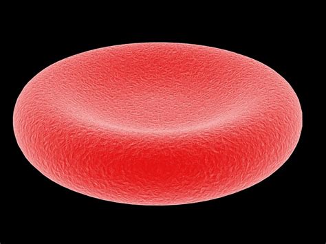 red blood cell 3d max