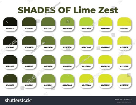 2,490 Lime Color Palette Images, Stock Photos & Vectors | Shutterstock