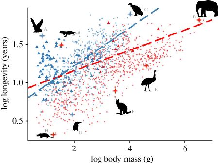 Relationships between body mass and maximum lifespan in birds and ...