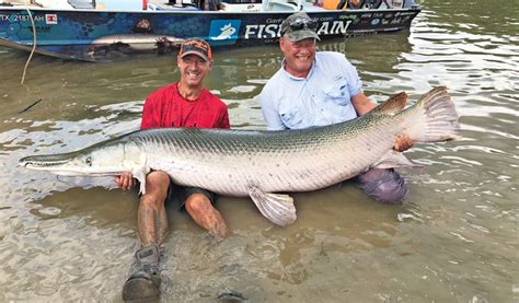 This huge, scary dinosaur-looking fish still swims in the Rio Grande ...