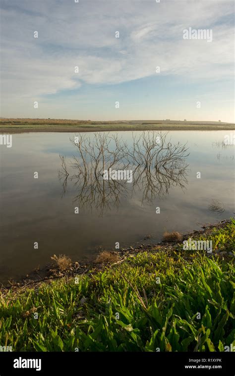 The Guadiana river next to the tables of daimiel, Spain Stock Photo - Alamy