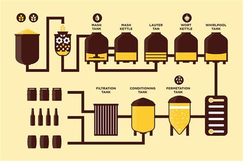 The beer brewing process - Micet Craft