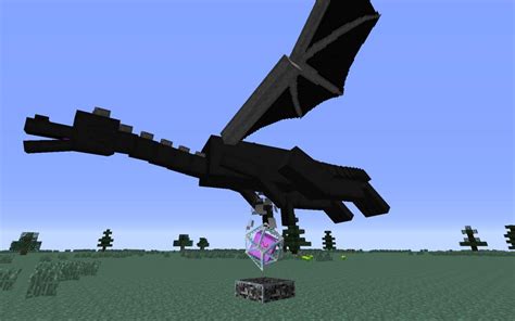 How I can have an EnderDragon as a pet? Minecraft Blog