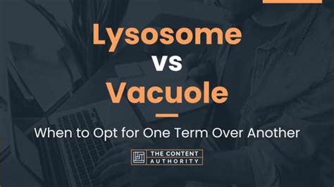 Lysosome vs Vacuole: When to Opt for One Term Over Another