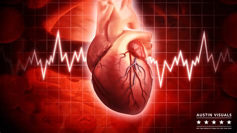 3D Heart Anatomy Animation