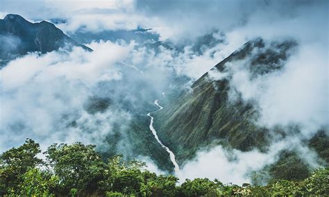 What Is A Cloud Forest? - WorldAtlas