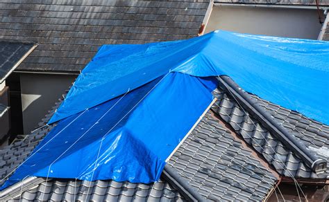 5 Reasons Why Roof Tarp Installation is Crucial After Storm Damage ...