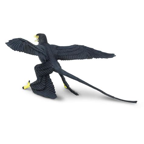 Microraptor Toy | Feathered dinosaurs, Large feathers, Prehistoric world