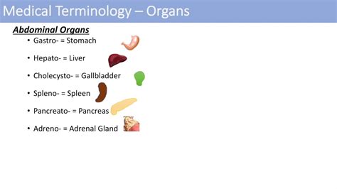 Medical Terminology - The Basics - Lesson 1 - YouTube