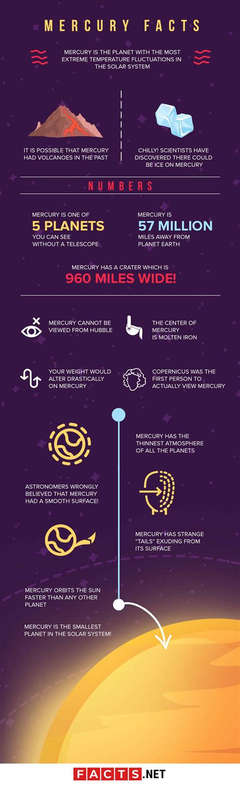 Planet Mercury Facts: Location, Size, Orbit & More - Facts.net