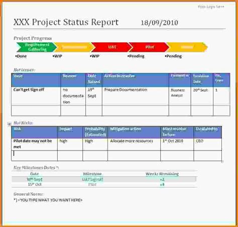 Project Status Report Template - coba ekspor