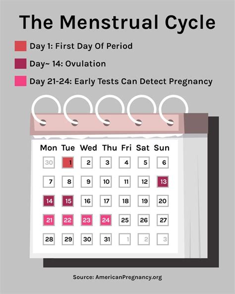 This ovulation calendar will help you finally understand your cycle ...