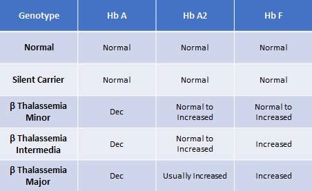 Beta-Thalassemia types with hemoglobin comparison | Medical Laboratories