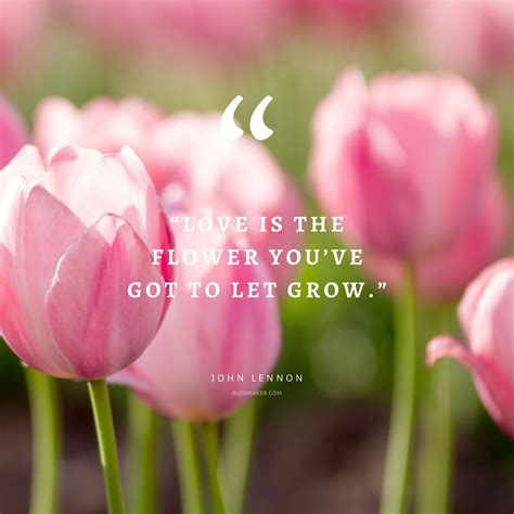 Discover the Beauty of Flower Quotes