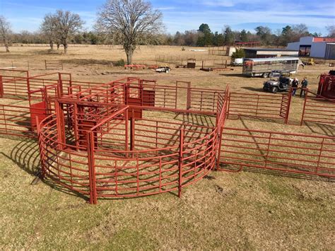 Custom Cattle Handling System 1 | BrinTough Equipment, Inc. Texas