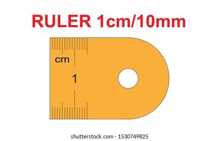 Ruler 10 Millimeters Ruler 1 Centimeters Stock Vector (Royalty Free ...