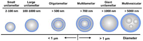 Pharmaceutics | Free Full-Text | Updates on Responsive Drug Delivery ...