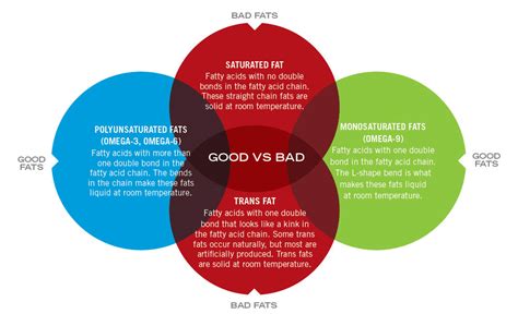 Monounsaturated vs. Polyunsaturated vs. Saturated Fat: What Are They?