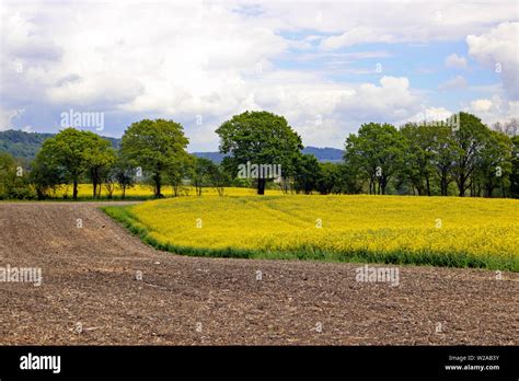 Farmland in the Surrey countryside England UK Stock Photo - Alamy