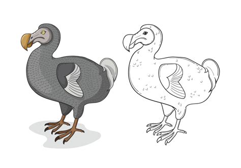 Grey Dodo Bird Illustration 149684 Vector Art at Vecteezy