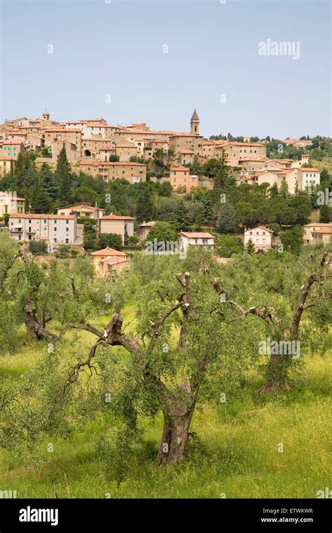 europe, italy, tuscany, seggiano village Stock Photo - Alamy