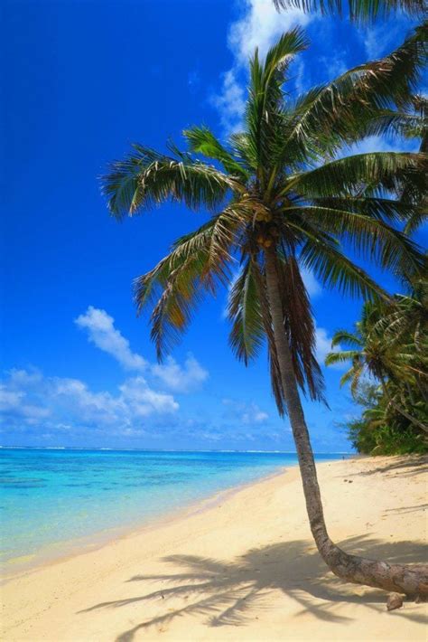 Top 10 Beaches In The South Pacific | X Days In Y