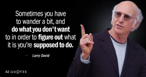 Larry David quote: Sometimes you have to wander a bit, and do what...