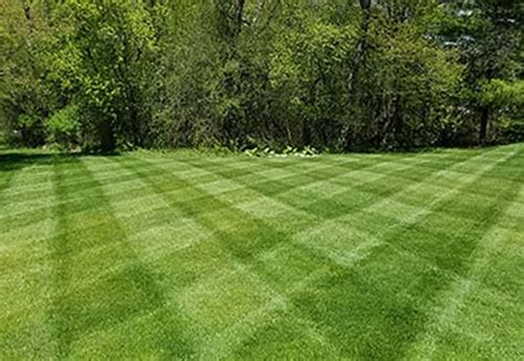 Lawn Striping and Lawn Patterns | Scag Power Equipment