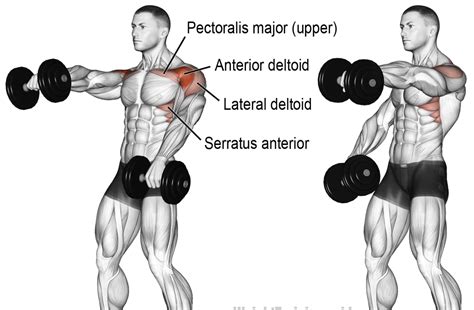 7 Shoulder Workouts - Best Exercises for Beginners at the Gym ...