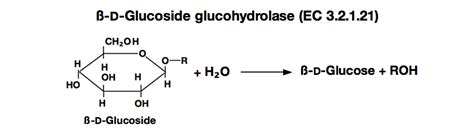 ß-GLUCOSIDASE from Sweet almond - TOYOBO USA