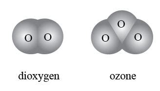 What are the allotropic forms of oxygen and sulfur? Include structures ...