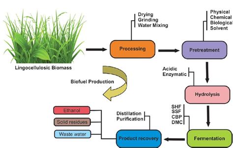 Schematic illustration of various processes/steps involved in biofuel ...