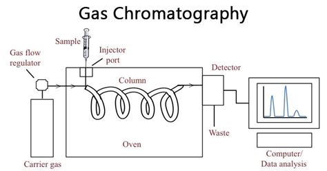 Cromatografía de gases - Definición, principio, partes, pasos, usos