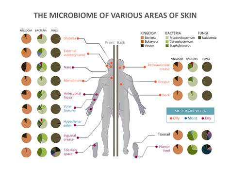 Variation in the Microbiome - SkinDrone