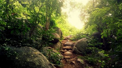 Top 9 Places to Visit in Yelagiri | Hill station, Walking in nature ...