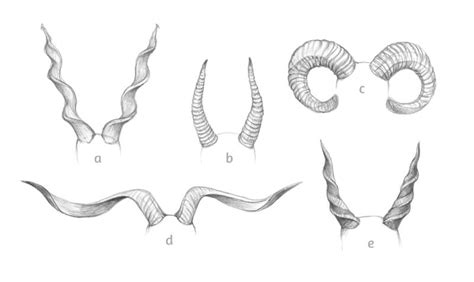 How to Draw Horns and Antlers