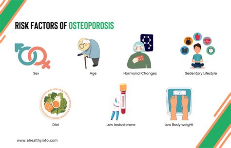 Osteoporosis: Causes, Symptoms, Diagnosis, Treatment, and Prevention"