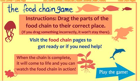 Explore !: Grade 3: Enjoy the FOOD CHAIN GAME!