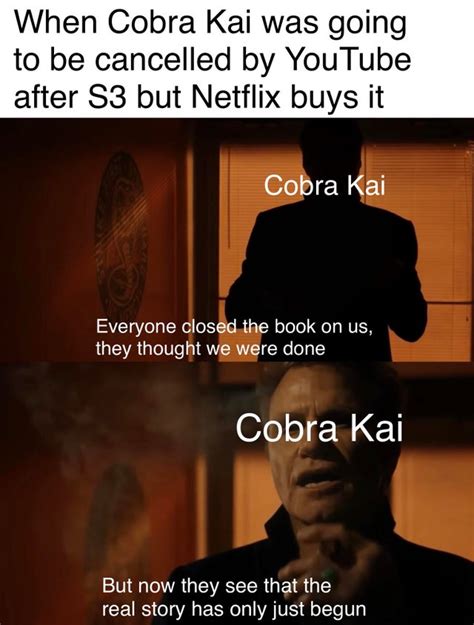 A Collection Of The Best & Funniest Cobra Kai Memes