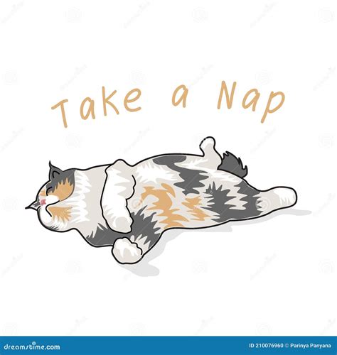 Cat Character take a nap stock vector. Illustration of domestic - 210076960