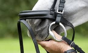 Choosing the correct size of bit for your horse – EquiStore