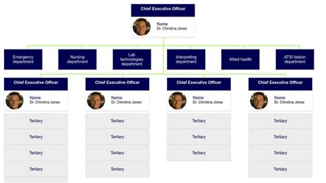 Simple and Responsive Organizational Chart (HTML5 and CSS3 only)