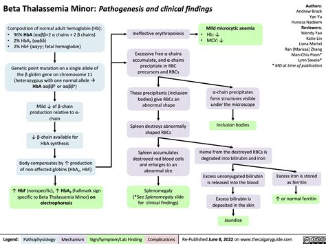 Patofisiologi Gejala Penyakit Thalasemia Beta A Narrative Review ...