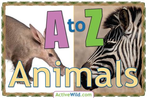 Get Animals Name In English A To Z Gif